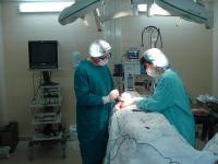 Пластическая хирургия - операция